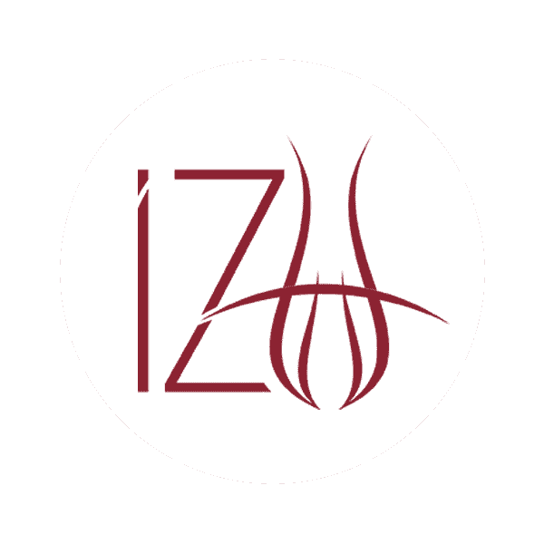 Istanbul Sabahattin Zaim University Tuition Fees - Programs